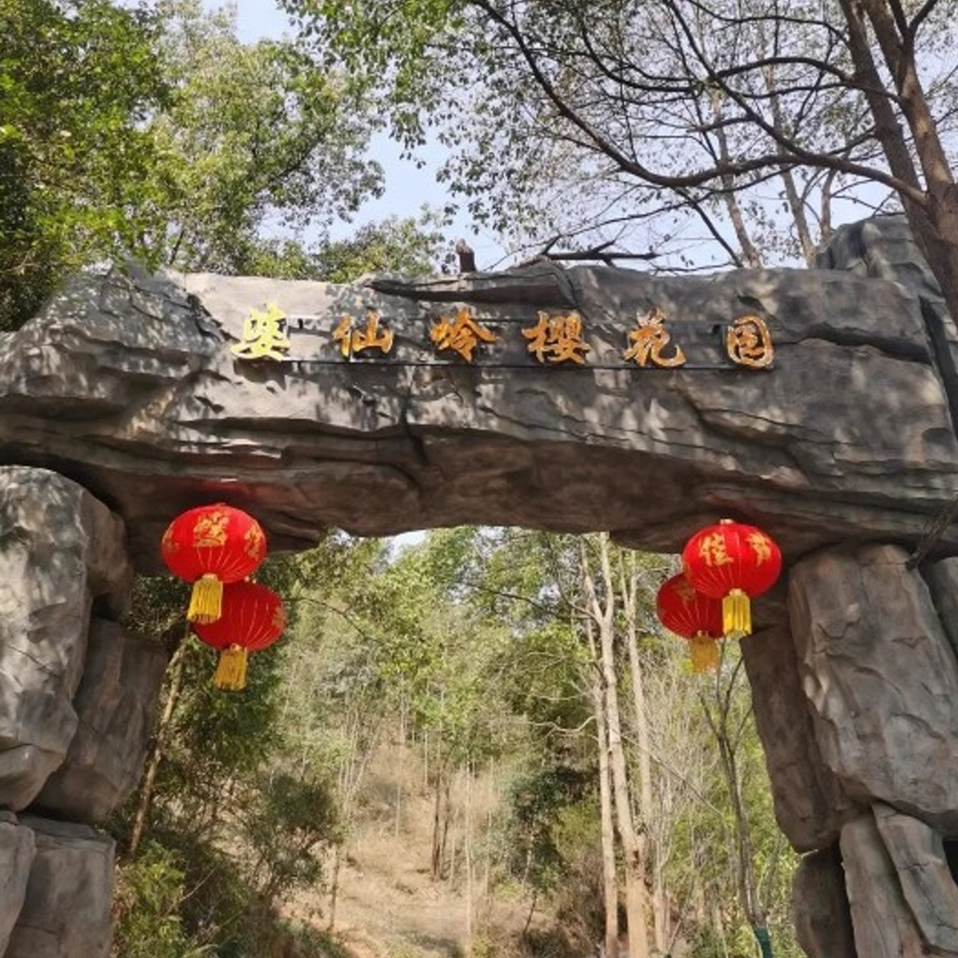 【婆仙岭樱花园】粉色春天，与樱花撞个满怀！成人预售票，29.9元享成人票，​浪漫樱花+梦